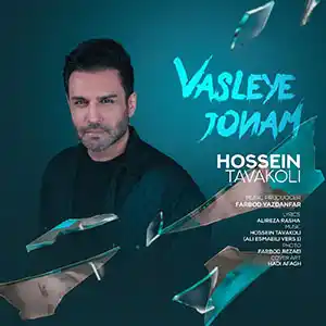 دانلود موزیک جدید Hossein Tavakoli - Vasleye Joonam