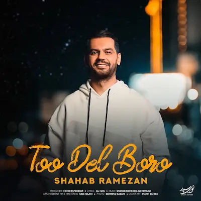 دانلود آهنگ شهاب رمضان تو دل برو با 2 کیفیت و متن ترانه
