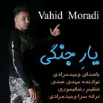 دانلود آهنگ یار جنگی من شلوار پلنگی من